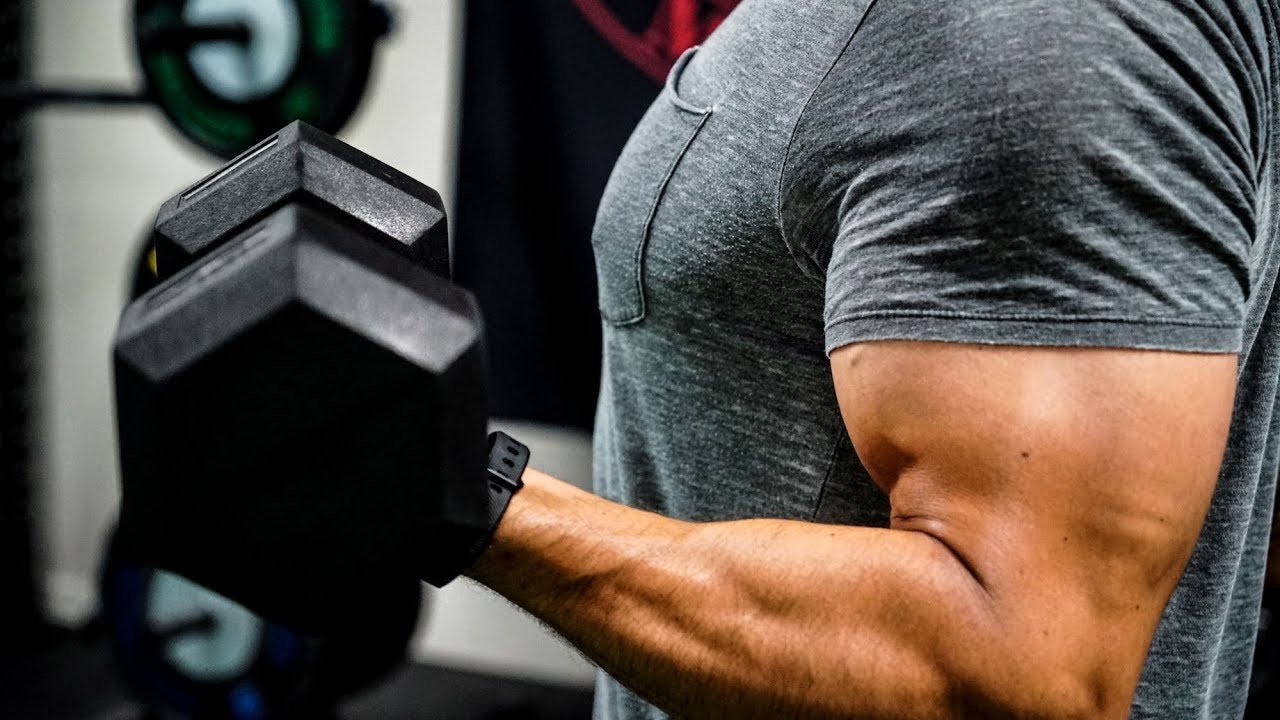Arms and Shoulders
